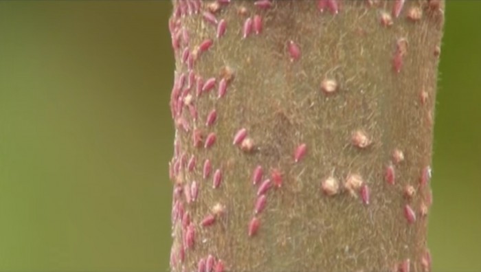 Capture d’écran 2016-06-22 à 12.03.07 - copie