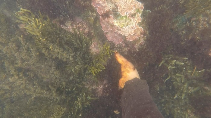 Capture d’écran 2018-09-17 à 00.41.52