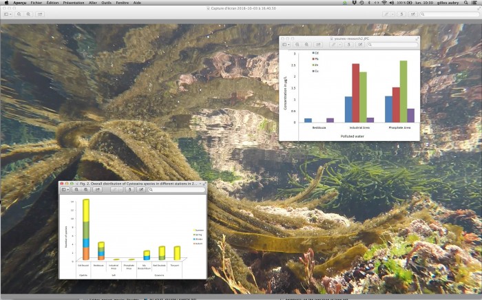 Capture d’écran 2019-03-25 à 10.30.04