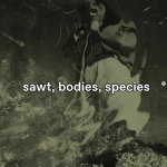 Sawt, Bodies, Species as Online Special on Norient.com