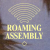 April 23 2024 – Presentation at Roaming Assembly Essaouira